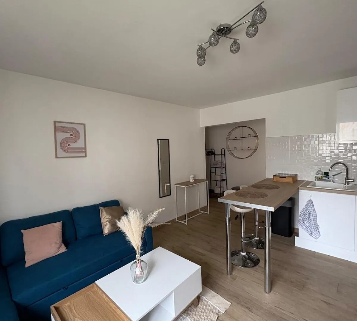 Charmant T2 Renove Lyon